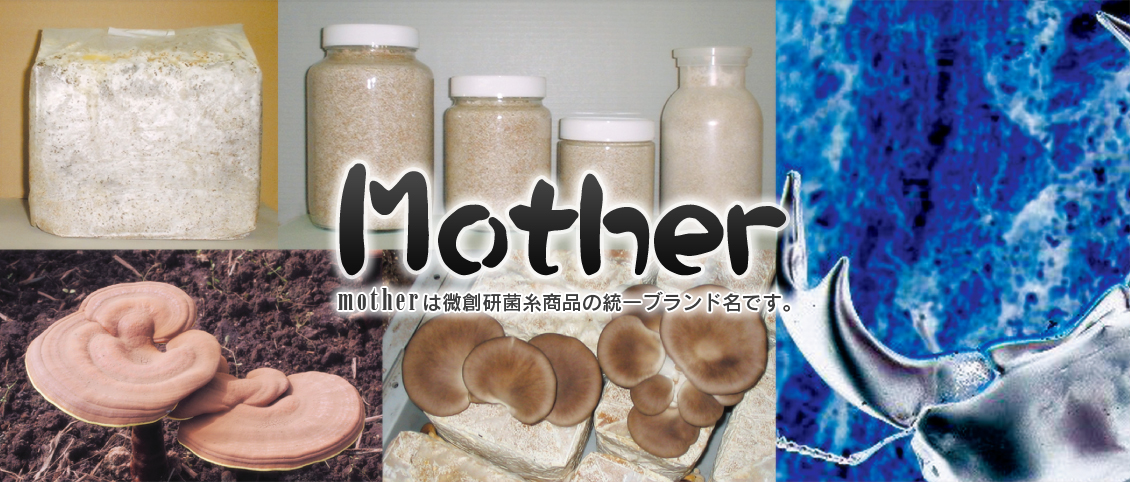 菌糸商品 [mother]